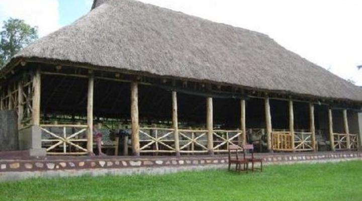 Chimpanzee Forest Guest House