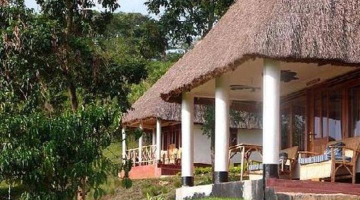 Chimpanzee Forest Guest House