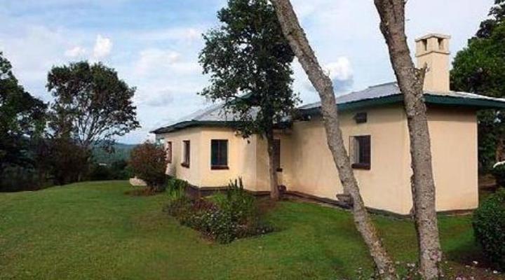 Chimpanzee Forest Guest House