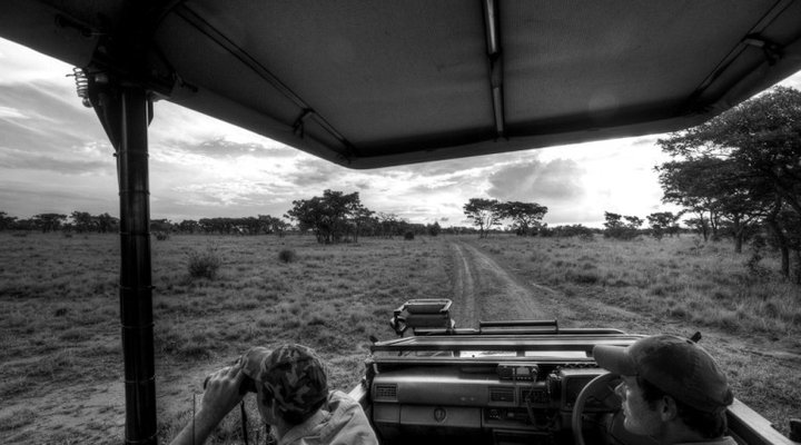 Wild Ivory Eco Lodge