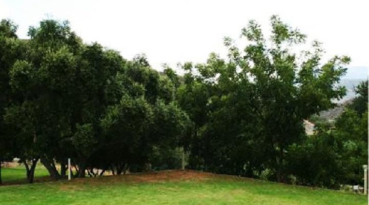 Marcuskraal 4x4 and Campsite