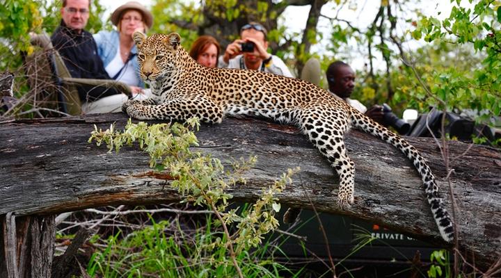 Motswari Private Game Reserve