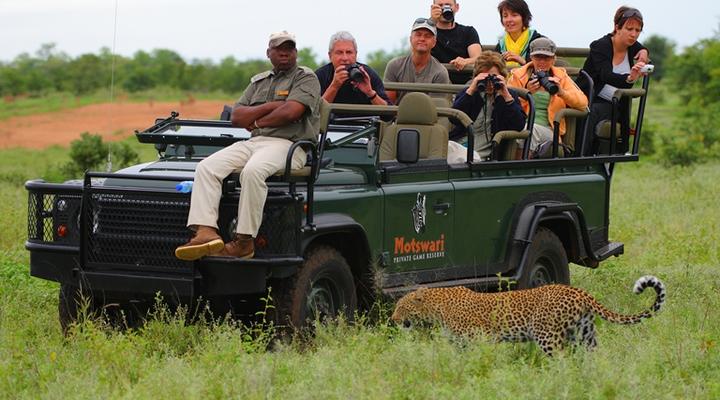 Motswari Private Game Reserve