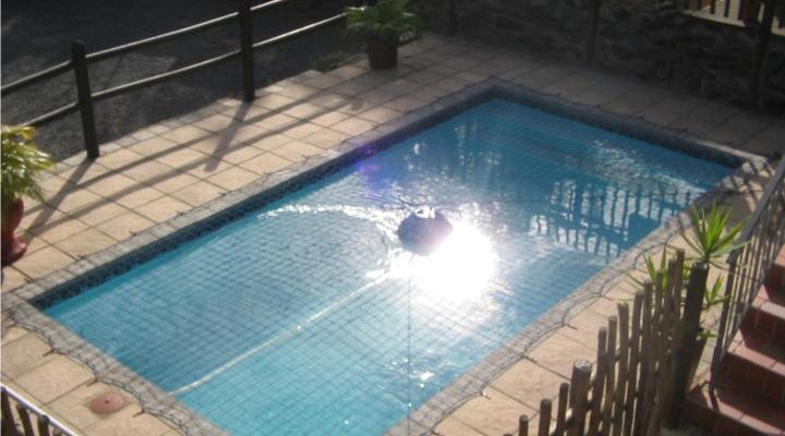 Angel Rose Bed and Breakfast