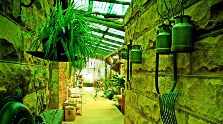 Makoadi Farm Bed and Breakfast