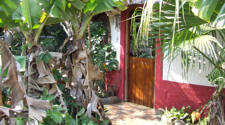 Tea in the Trees Bed and Breakfast