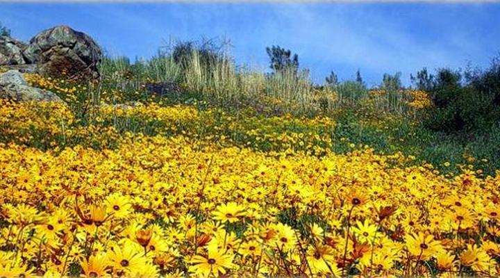 Keurbos Holiday Cottages and Campsite