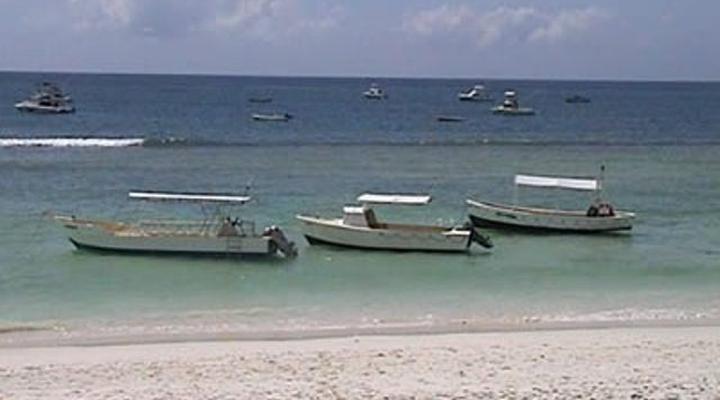 Coran Angelica House