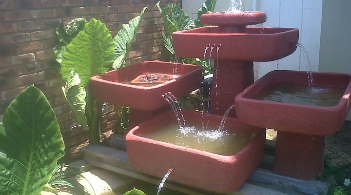 Aroma Africa Guest House