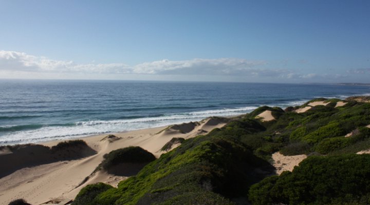 The Lookout Praia da Rocha