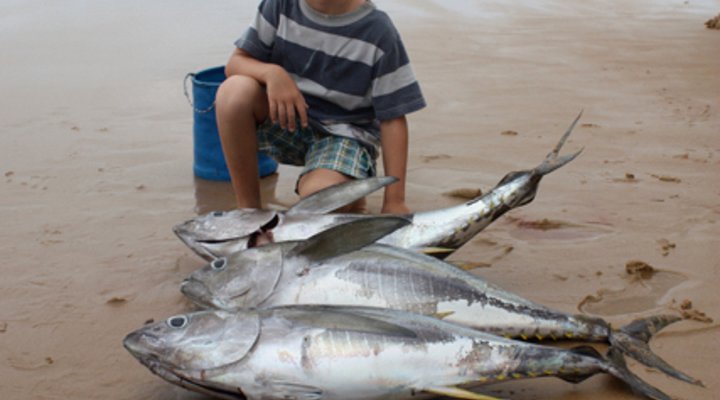 The Lookout Praia da Rocha