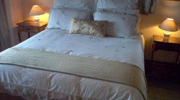 Lazy Leopard Forest Retreat