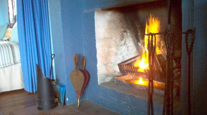 Lazy Leopard Forest Retreat