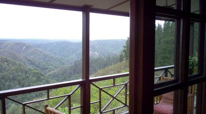 Lazy Leopard Forest Retreat