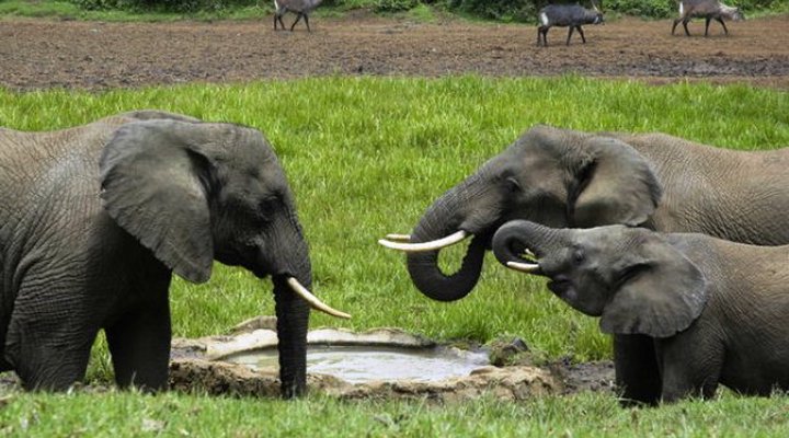 Serena Mountain Lodge