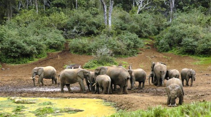 Serena Mountain Lodge