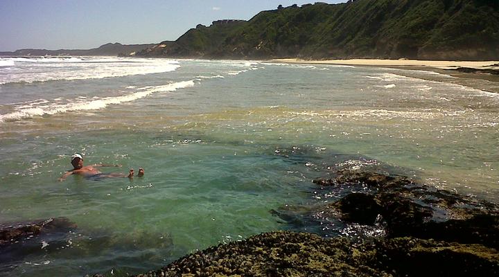 Blue Dolphin Guest Suite