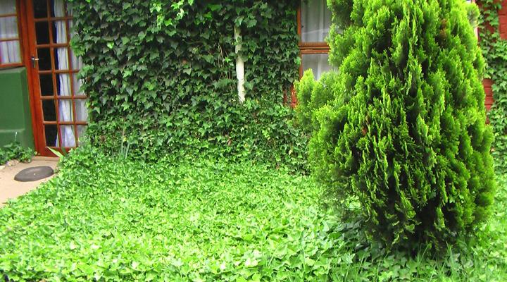 Tsikili Forest Lodge