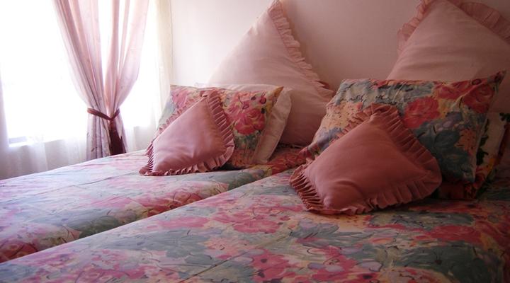 Vue de Montagne Bed and Breakfast