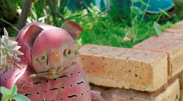 Midrand Wild Goose B&B