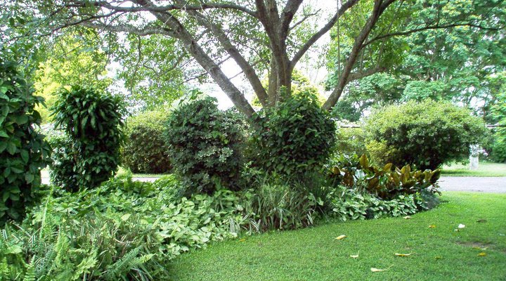 Tally Ho Bed and Breakfast