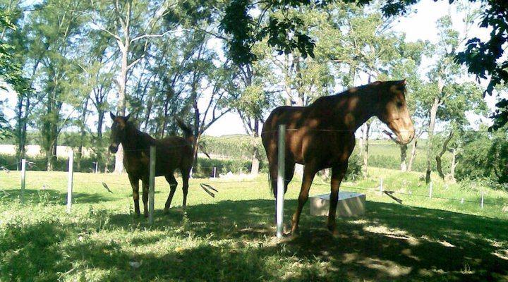 Tally Ho Bed and Breakfast