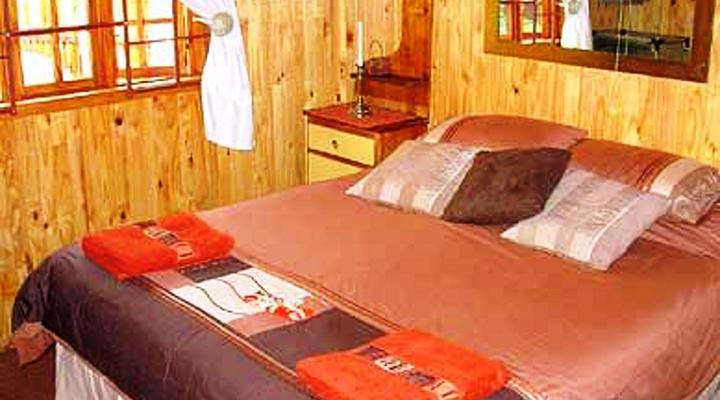 Ingwe Cabin