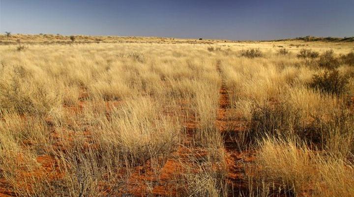 Kalahari Trails