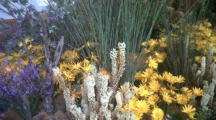 Sandkorreltjies Guesthouse