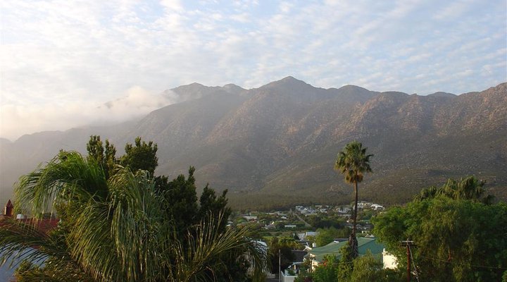 Pepper Tree, Montagu