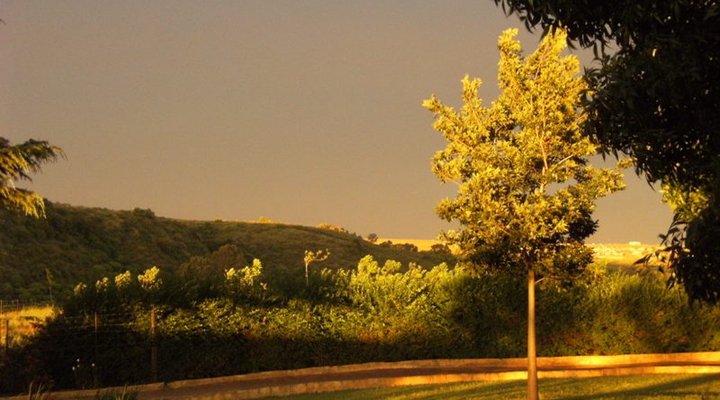 Pecan Grove Bed and Breakfast