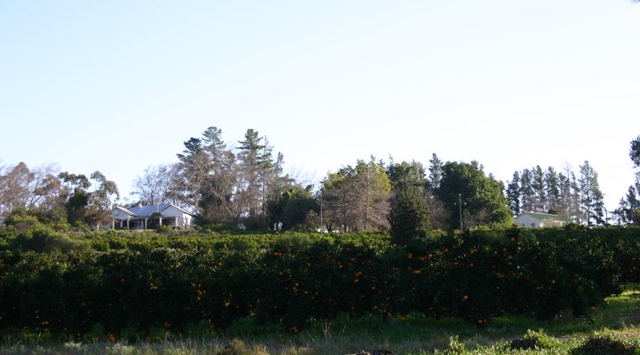 Sewefontein Guest Farm