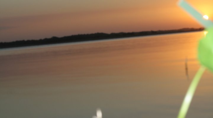 Pisces Dive Charter and Retreat