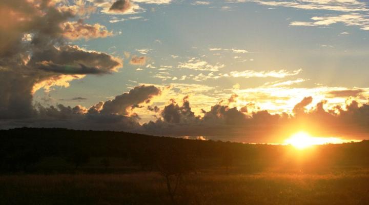 Thabana Safari Lodge