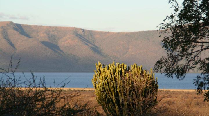 White Elephant Bush Camp