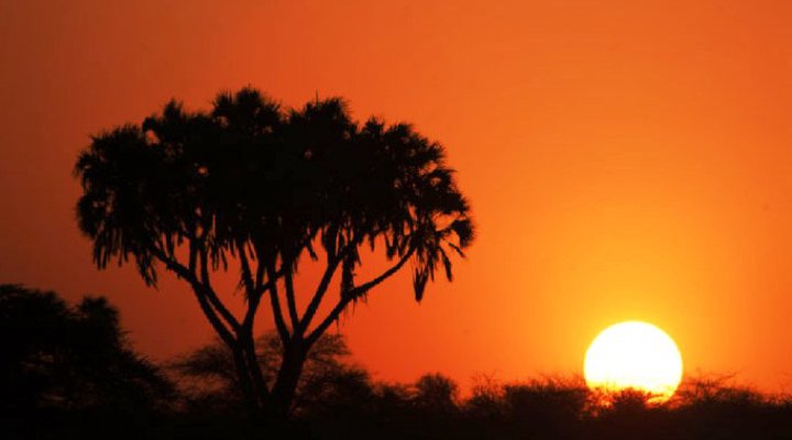 Sarova Shaba Game Lodge