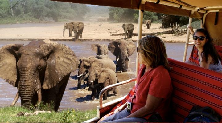 Elephant Watch Safaris