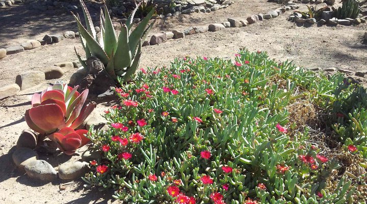 Gamka Olives Farm Accommodation