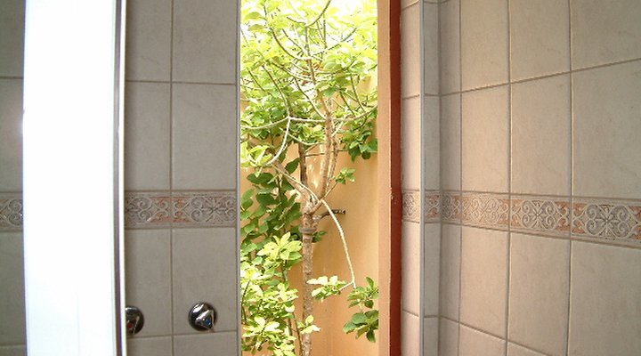 Owl and Elephant Lodge