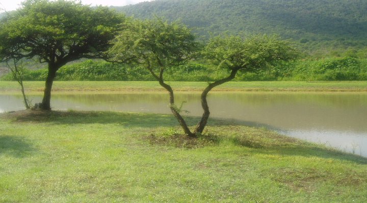 Owl and Elephant Lodge