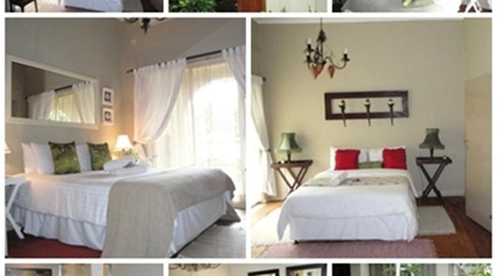 Wild Olive Guesthouse