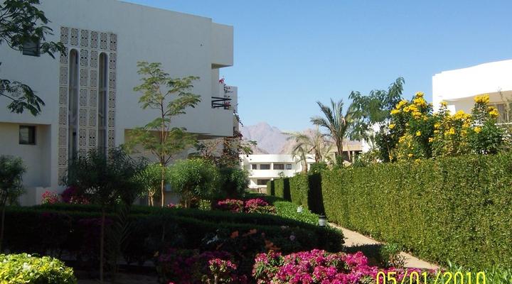 Sharm Holiday Rentals