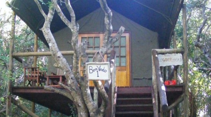 Tartaruga Maritima Luxury Camp