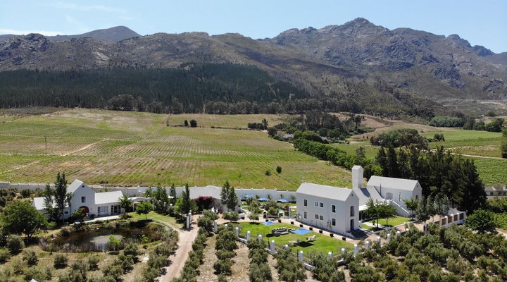 Gooding's Groves Olive Farm B&B