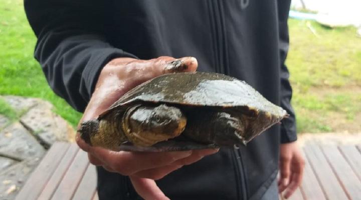 Ntibane Bushveld Hideaway