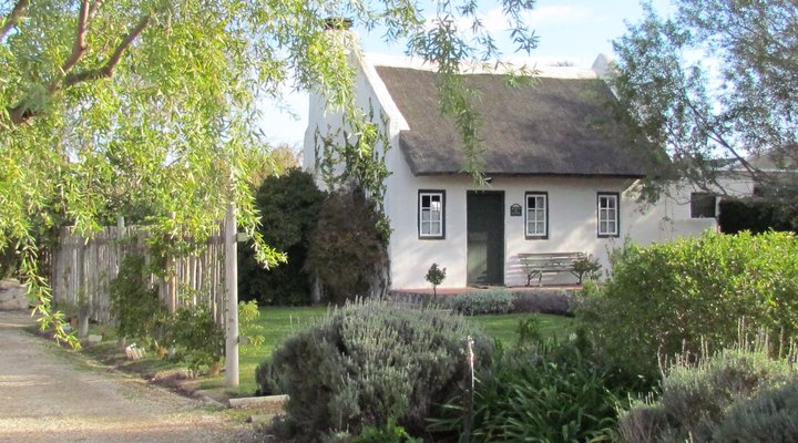 B's Cottage- Stanford