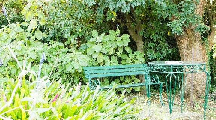 B's Cottage- Stanford