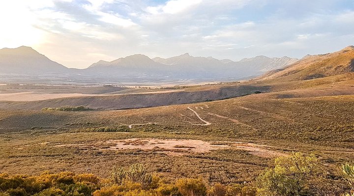 Schalkenbosch Wine Estate