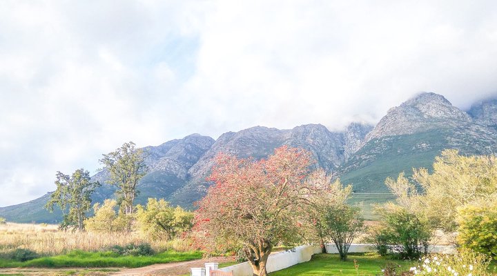 Schalkenbosch Wine Estate