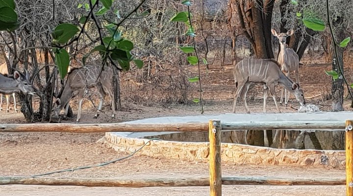 Nageng Lodge Mabalingwe